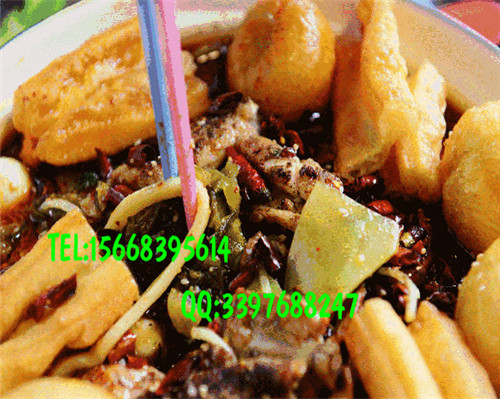 九兩魚檸檬魚面一年獲利幾萬？生意火不火？_3