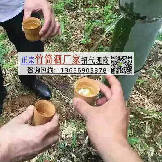 活竹酒竹筒酒原生態(tài)52度500ml廠家浙江代理廣東招商江蘇加盟_2