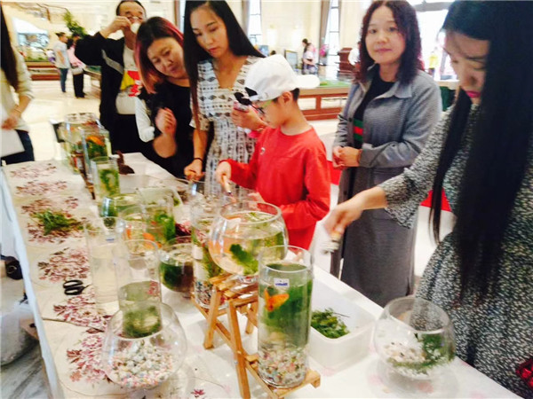 生態(tài)魚(yú)缸微景觀活動(dòng)現(xiàn)場(chǎng)，蠟藝生活館的分享（圖）_4