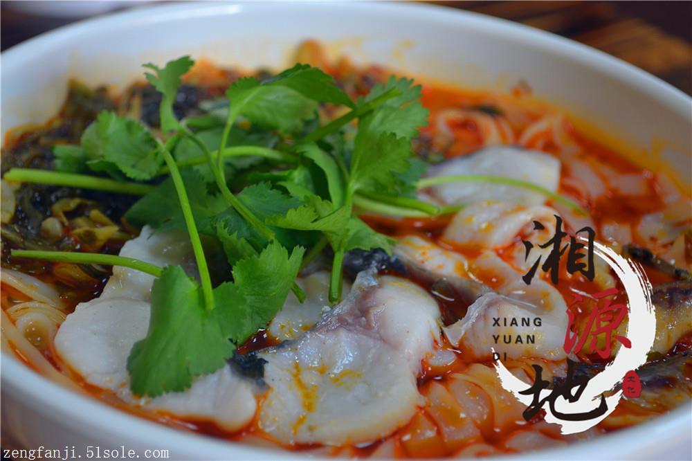長沙哪里有專業(yè)培訓(xùn)魚粉的地方，魚粉技術(shù)培訓(xùn)（圖）_1