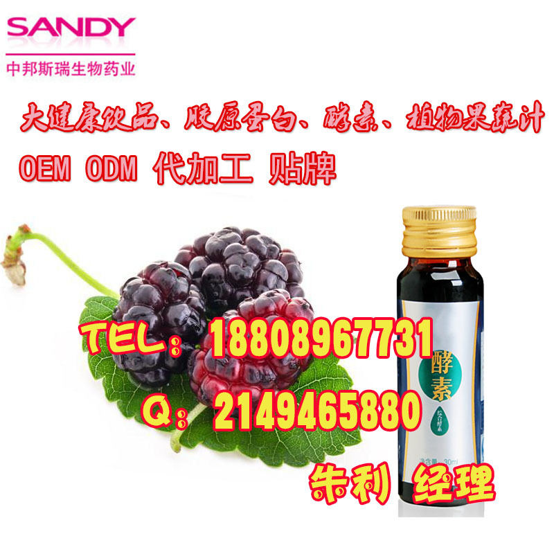 大批量小規(guī)格桑葚藍(lán)莓飲品ODM貼牌包工包料廠商(圖)_1