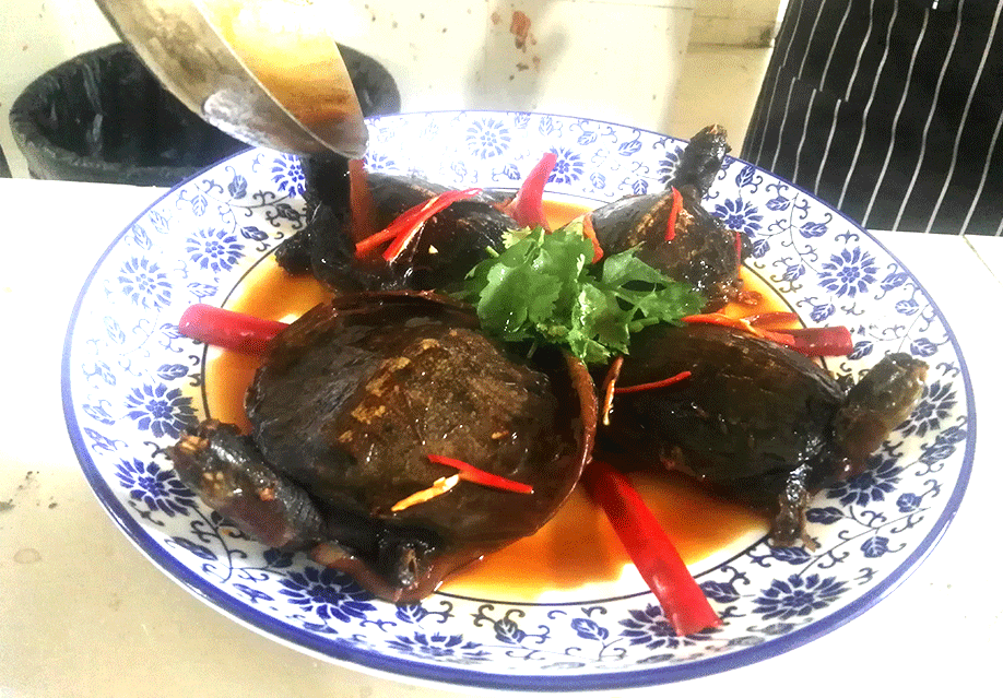 貴州正宗秘制小甲魚(yú)做法培訓(xùn)（圖）_1