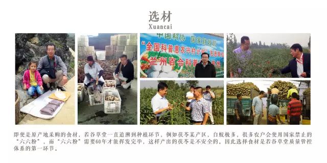 五谷營養(yǎng)粉加盟選哪家？（圖）_1