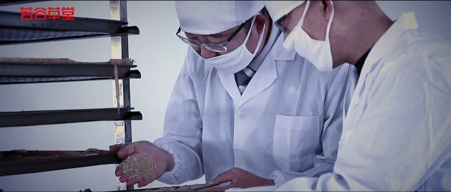 五谷營養(yǎng)粉加盟選哪家？（圖）_5