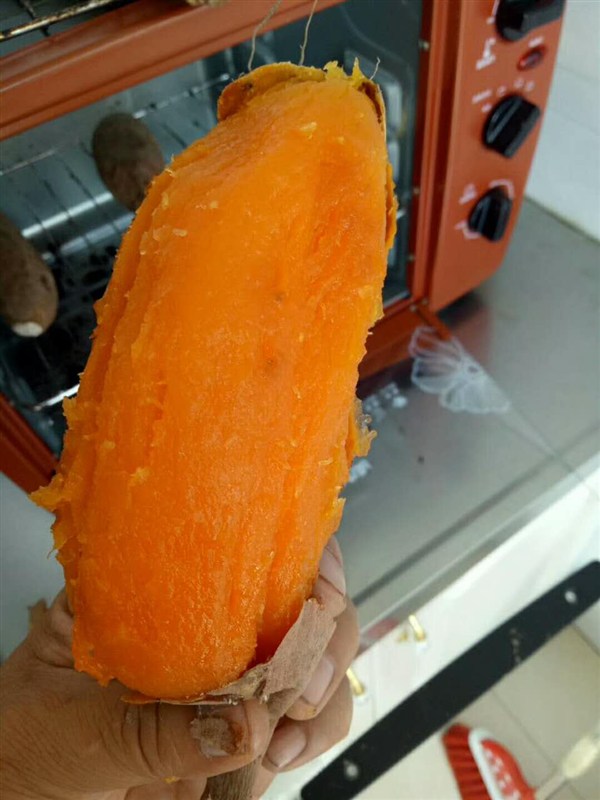 2017新款：烤地瓜爐子哪里有？烤紅薯爐子售價多少錢一臺？_5