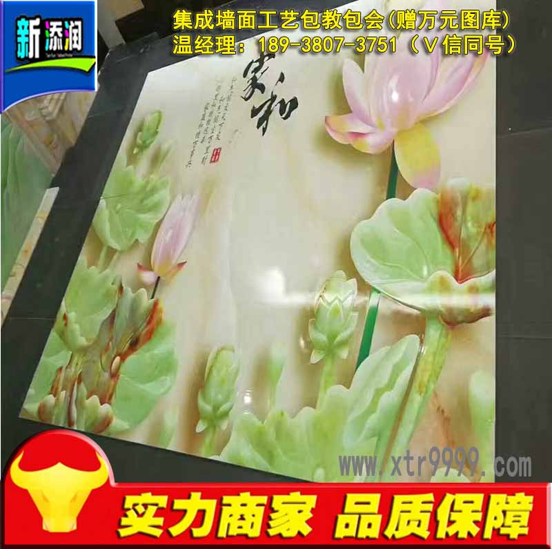 精工2030集成墻板打印機(jī)（圖）_3