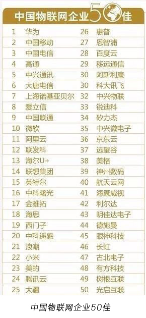德施曼首次入选中国物联网企业50佳，技术创新得分位列第39位（图）_1