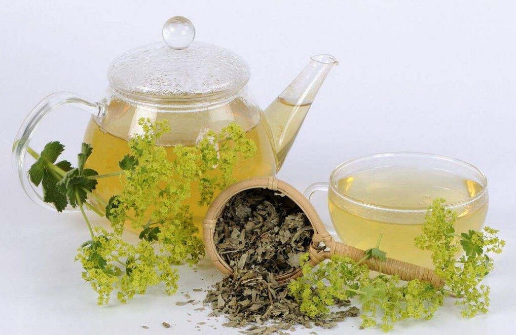 貢茶哪個(gè)是正宗的-御可貢茶,全國加盟連鎖品牌_10