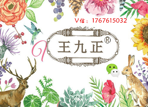 王九正黑膏藥的代理好不好做我該怎么才能加入進(jìn)去？_1