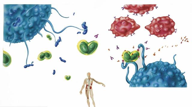 老中醫(yī)：免疫力低下？該如何提高身體的免疫力？（圖）_1