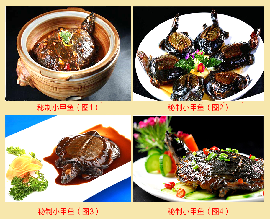 去哪里學(xué)秘制小甲魚技術(shù)_1