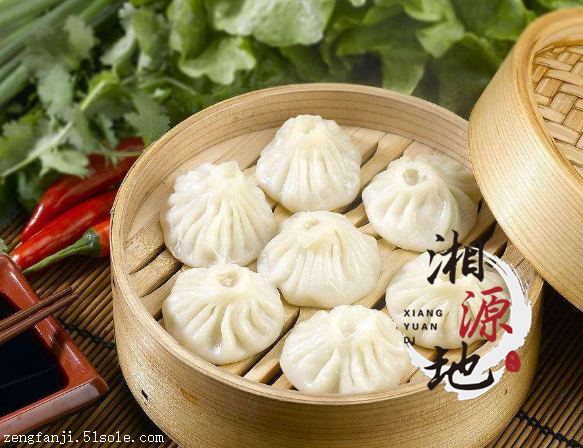 益陽哪里有包子技術(shù)學(xué)_2