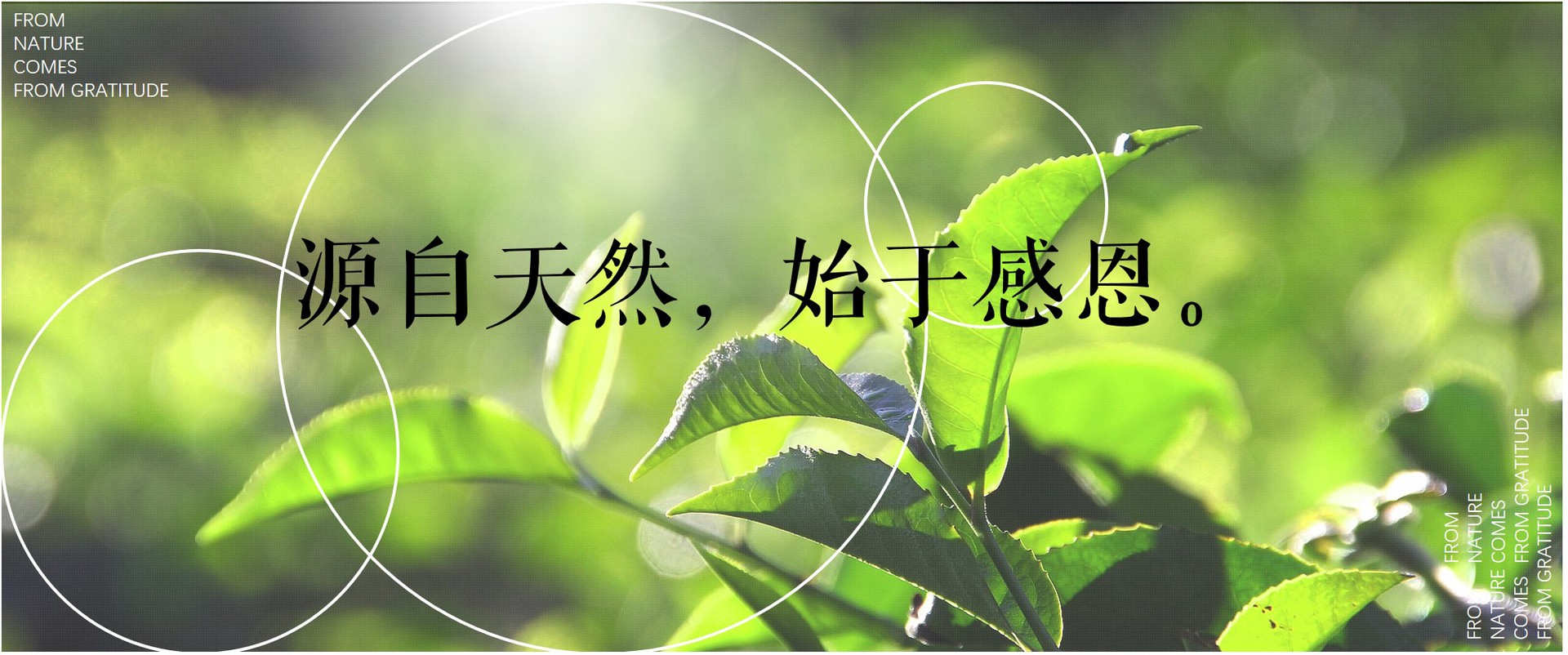 綜合果蔬酵素粉ODM代工廠家（圖）_1