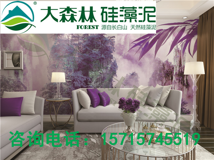 湖北硅藻泥招商加盟大森林硅藻泥品牌推薦會(huì)（圖）_2