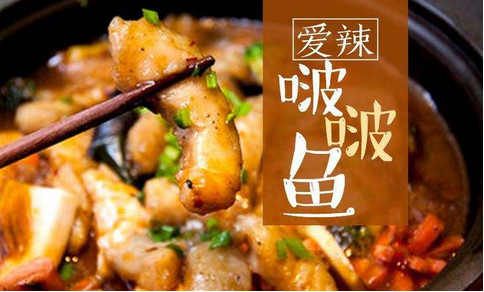 小湘妃啵啵魚加盟費多少錢_1