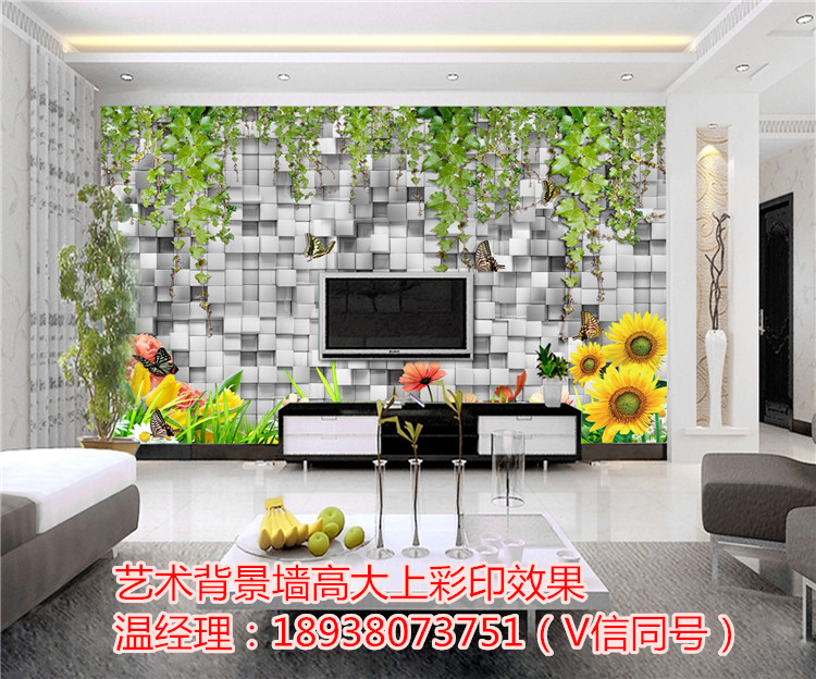 玄關(guān)背景墻打印設(shè)備（圖）_2