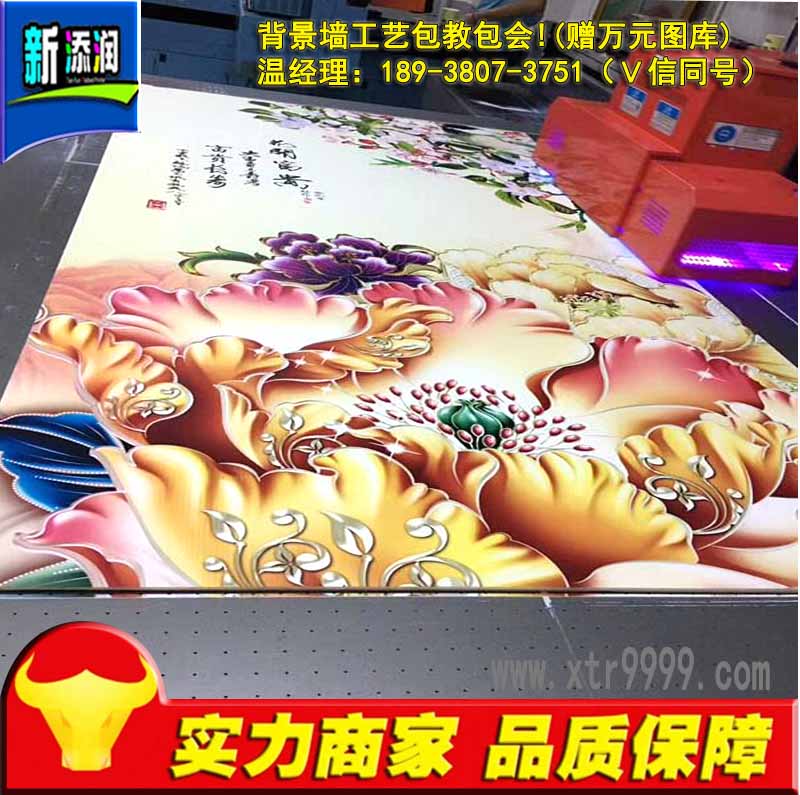 uv平板打印機(jī)最新報(bào)價(jià)（圖）_7