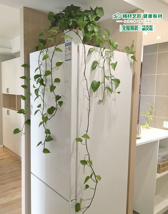 有種美叫別人家的裝修，有種模式叫全屋易裝+（圖）_7