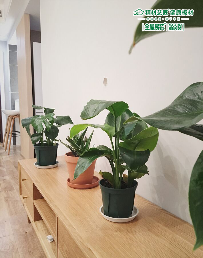 有種美叫別人家的裝修，有種模式叫全屋易裝+（圖）_11