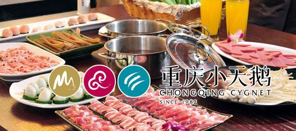 重慶小天鵝火鍋加盟費要多少錢及加盟條件（圖）_1