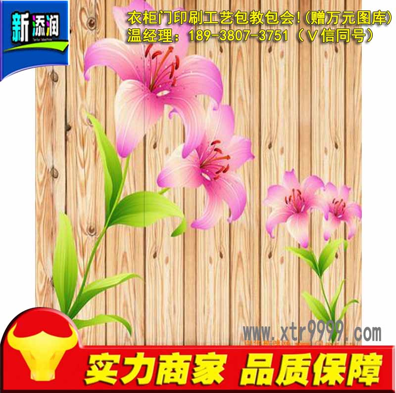 uv噴墨打印機(jī)價(jià)格（圖）_2