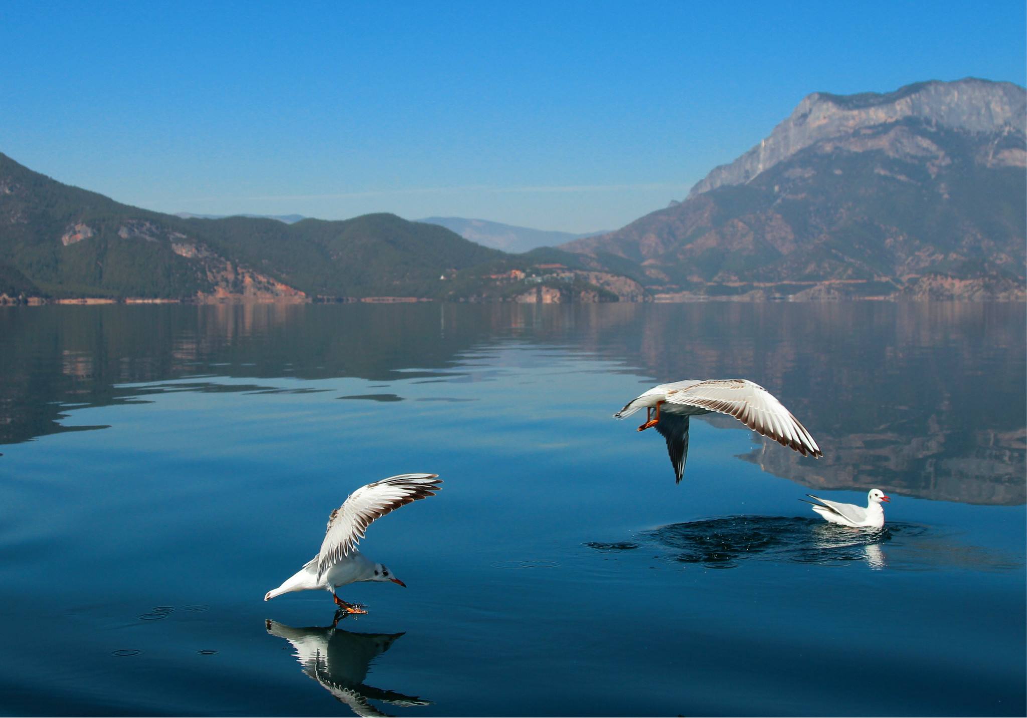 從麗江到瀘沽湖路況如何,易豪出行_1