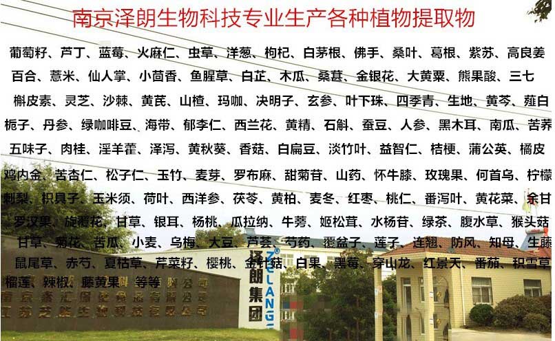 牡蠣黃精瑪卡片代工廠家直銷（圖）_3