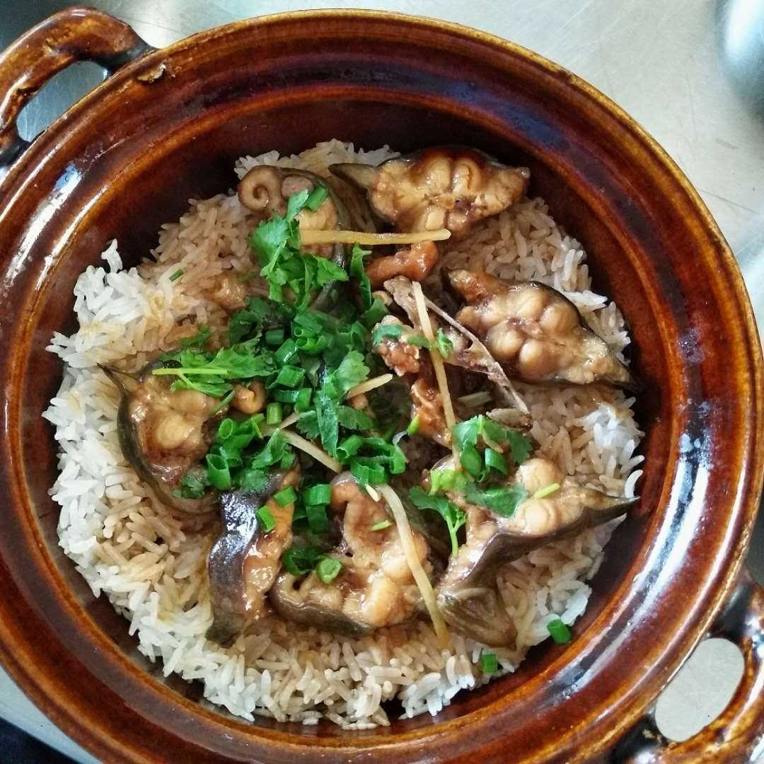廣東煲仔飯的做法在中山哪里可以學(xué)大概學(xué)幾耐_1