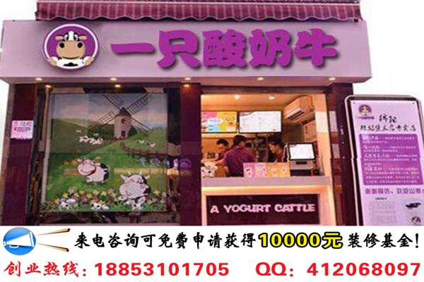投資一家一只酸奶牛店加盟費(fèi)要多少錢_1