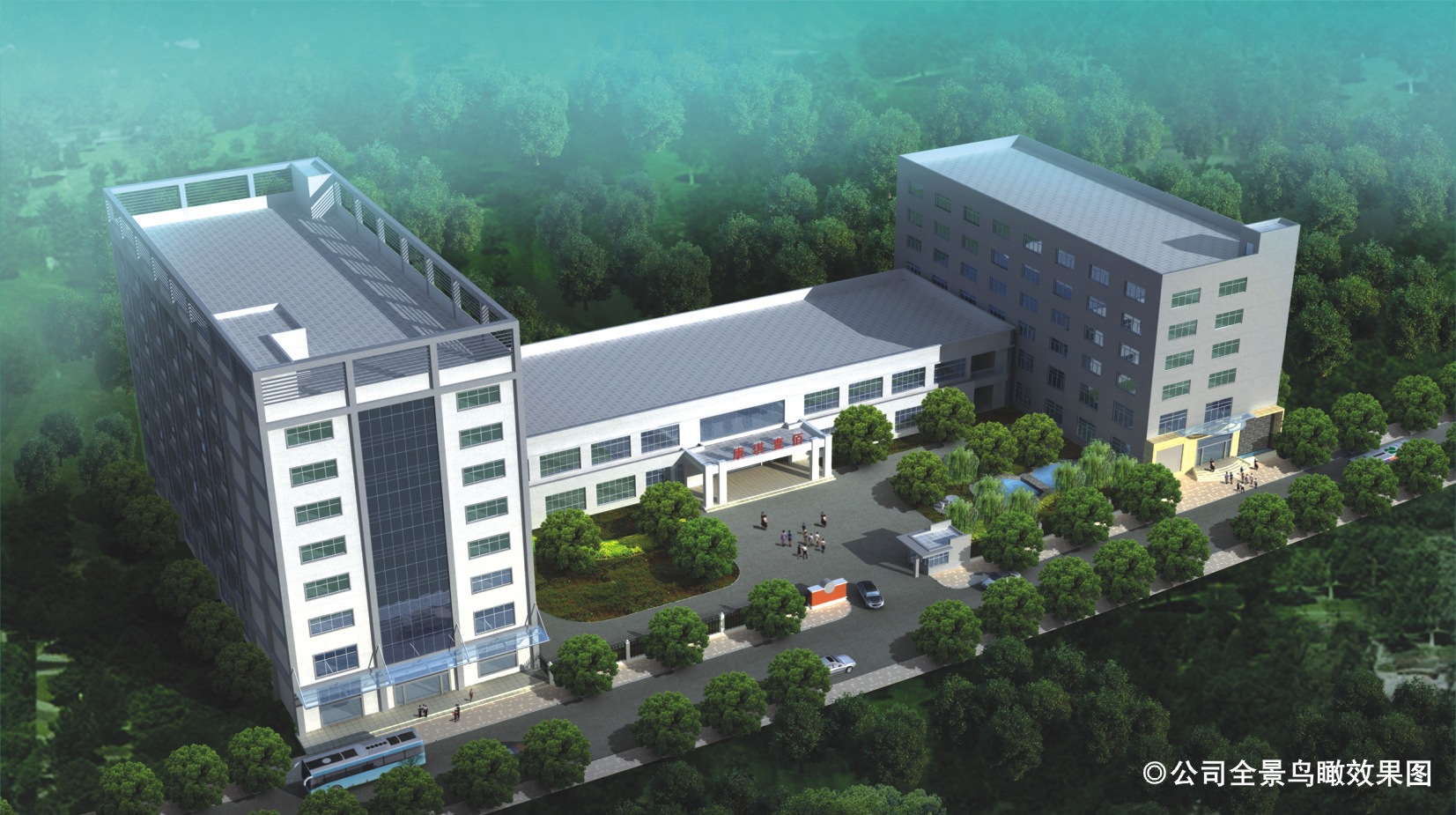 膠原蛋白粉代加工,膠原蛋白粉odm,貼牌廠家_5