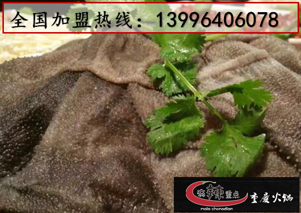 重慶最有名火鍋店的經(jīng)營模式（圖）_1