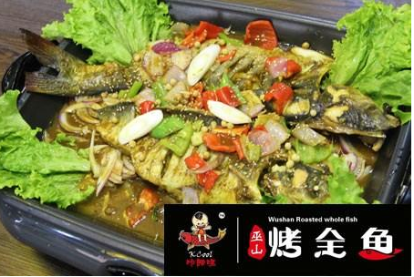 卡酷哩巫山烤魚加盟費用多少（圖）_2