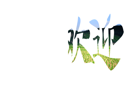 哪里有砂鍋土豆粉技術(shù)學(xué)（圖）_20