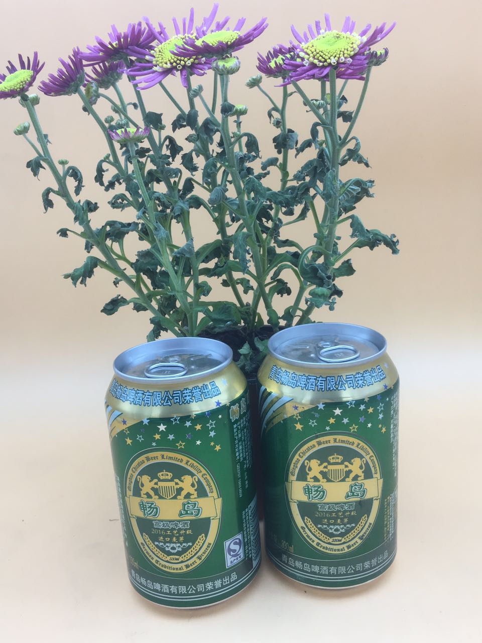 夜場啤酒低價(jià)格高品質(zhì)市場支持火爆招商_1