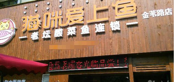 貓咪愛上魚酸菜魚加盟費多少錢_1