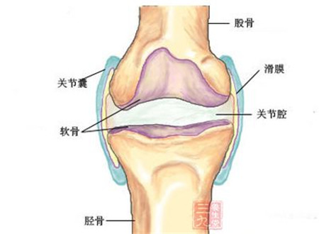 膝關(guān)節(jié)疼痛貼什么膏藥治改善果好？_2