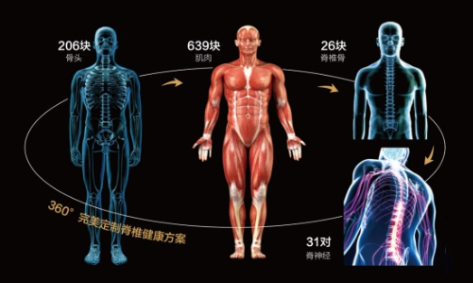 未来美容院最火爆的项目,转型升级的契机（图）_4