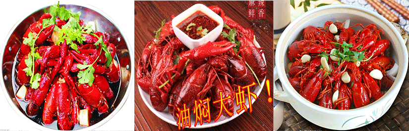 湖南哪里有油燜大蝦學(xué)，專業(yè)交流（圖）_1
