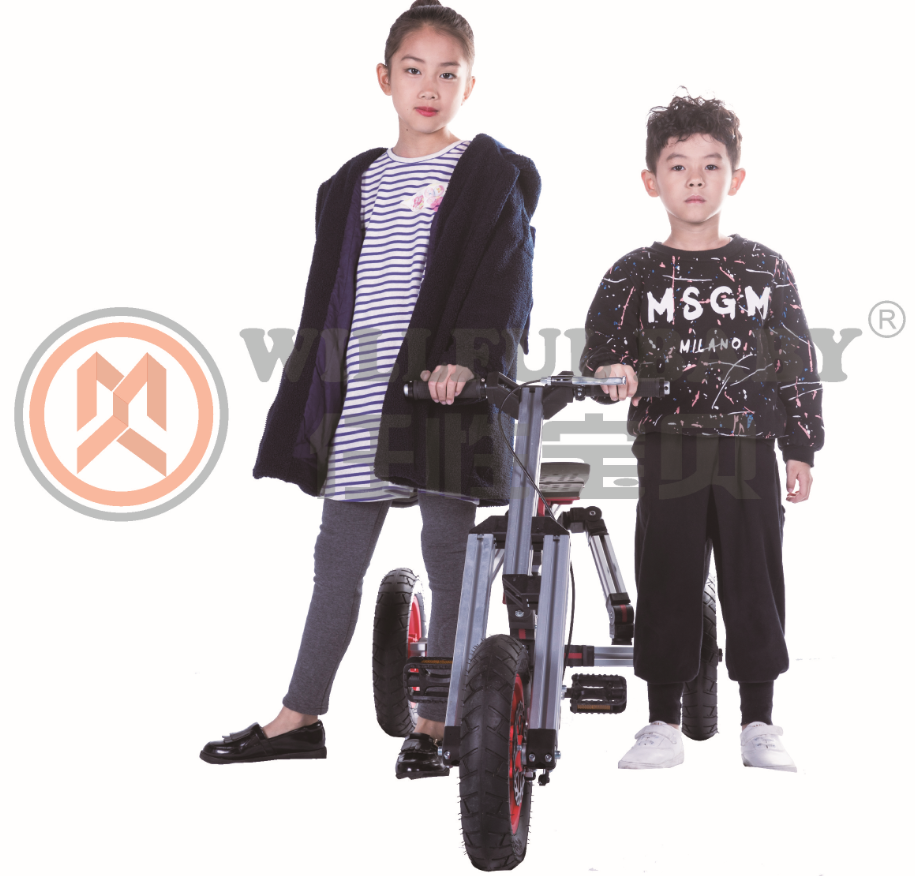 浙江diy手工玩具,任性寶貝DIY百變童車做工精致（圖）_1