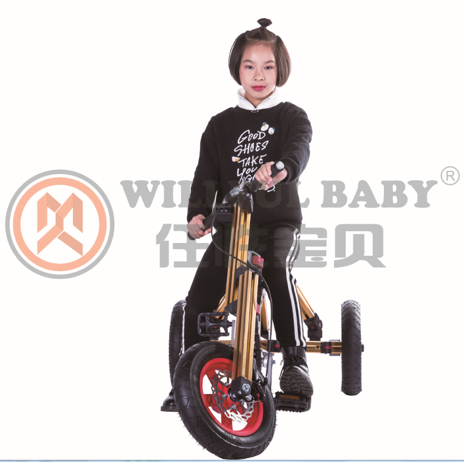 浙江什么品牌童車好,任性寶貝DIY百變童車微風(fēng)險(xiǎn)高盈利（圖）_1