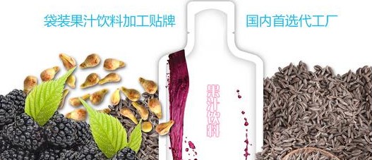 蓝莓酵素袋装饮料OEM/ODM服务（图）_1