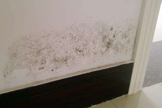 新房入住不到半年墻皮就掉了，現(xiàn)在腸子都悔青了（圖）_1