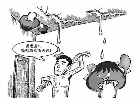 新房入住不到半年墻皮就掉了，現(xiàn)在腸子都悔青了（圖）_3