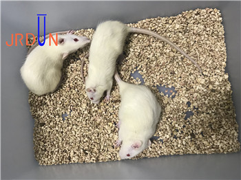 基尔顿生物构建大小鼠前庭损伤模型怎么样？（图）_1