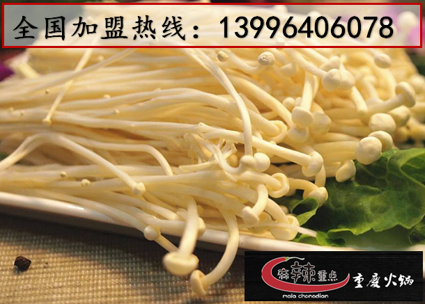 如何開好一家有特色的重慶火鍋店（圖）_2