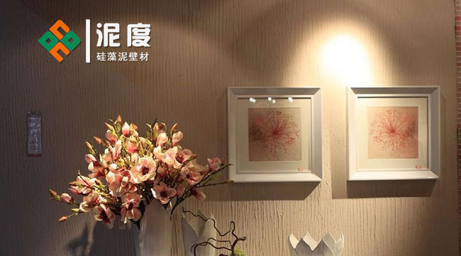 硅藻泥環(huán)保涂料，讓家更有安全感_3