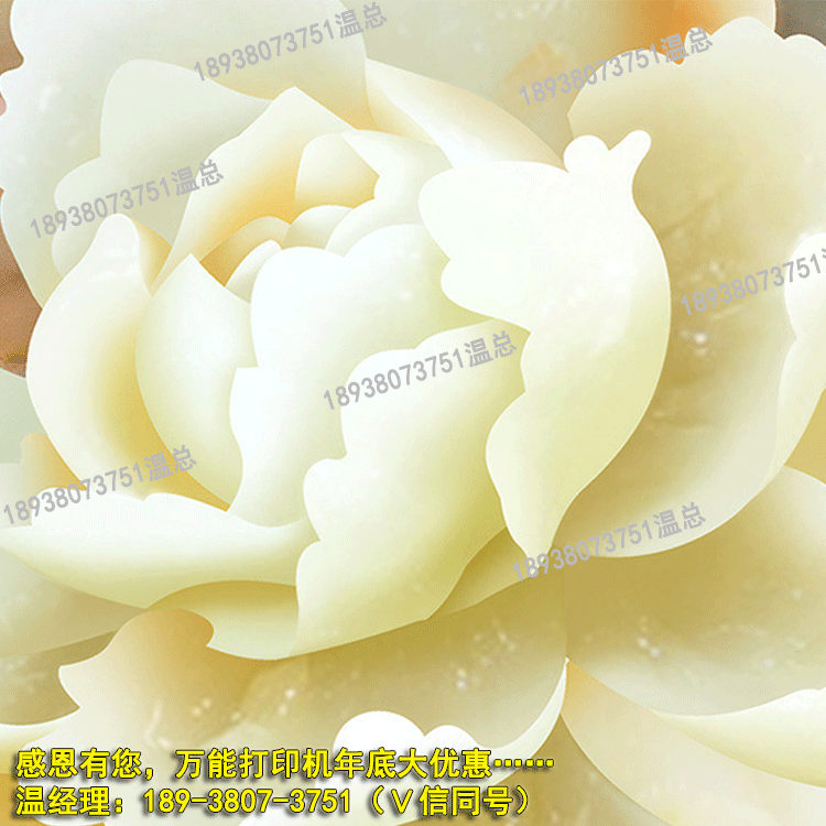 背景墻打印機分類說明_13