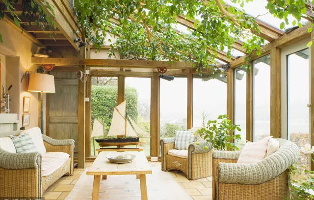 咖啡有伴侶，陽光房的伴侶是蜂巢？（圖）_2