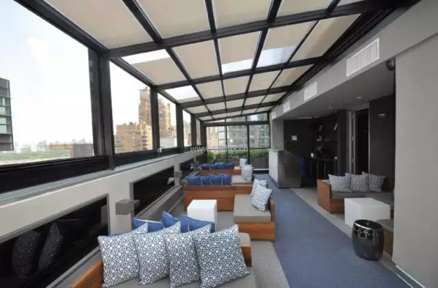 咖啡有伴侶，陽光房的伴侶是蜂巢？（圖）_5