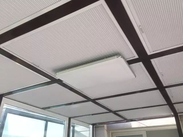 咖啡有伴侶，陽光房的伴侶是蜂巢？（圖）_6